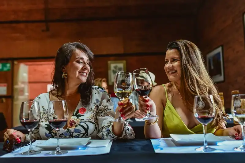 Parceiras brindando